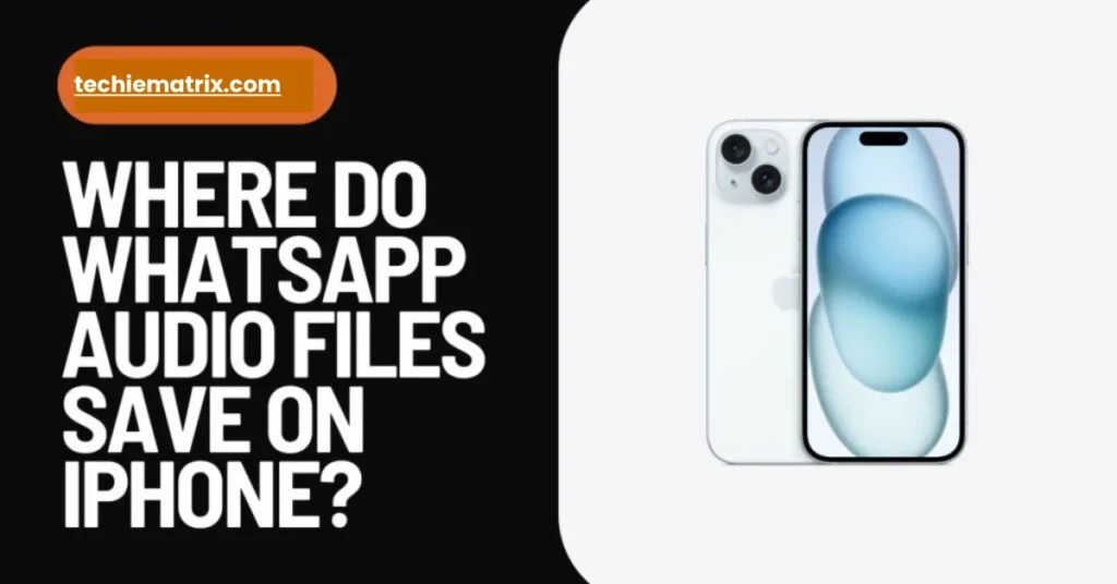 Where Do WhatsApp Audio Files Save On iPhone