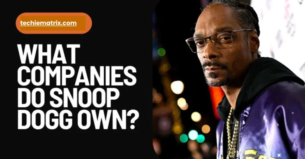 What Companies Do Snoop Dogg Own